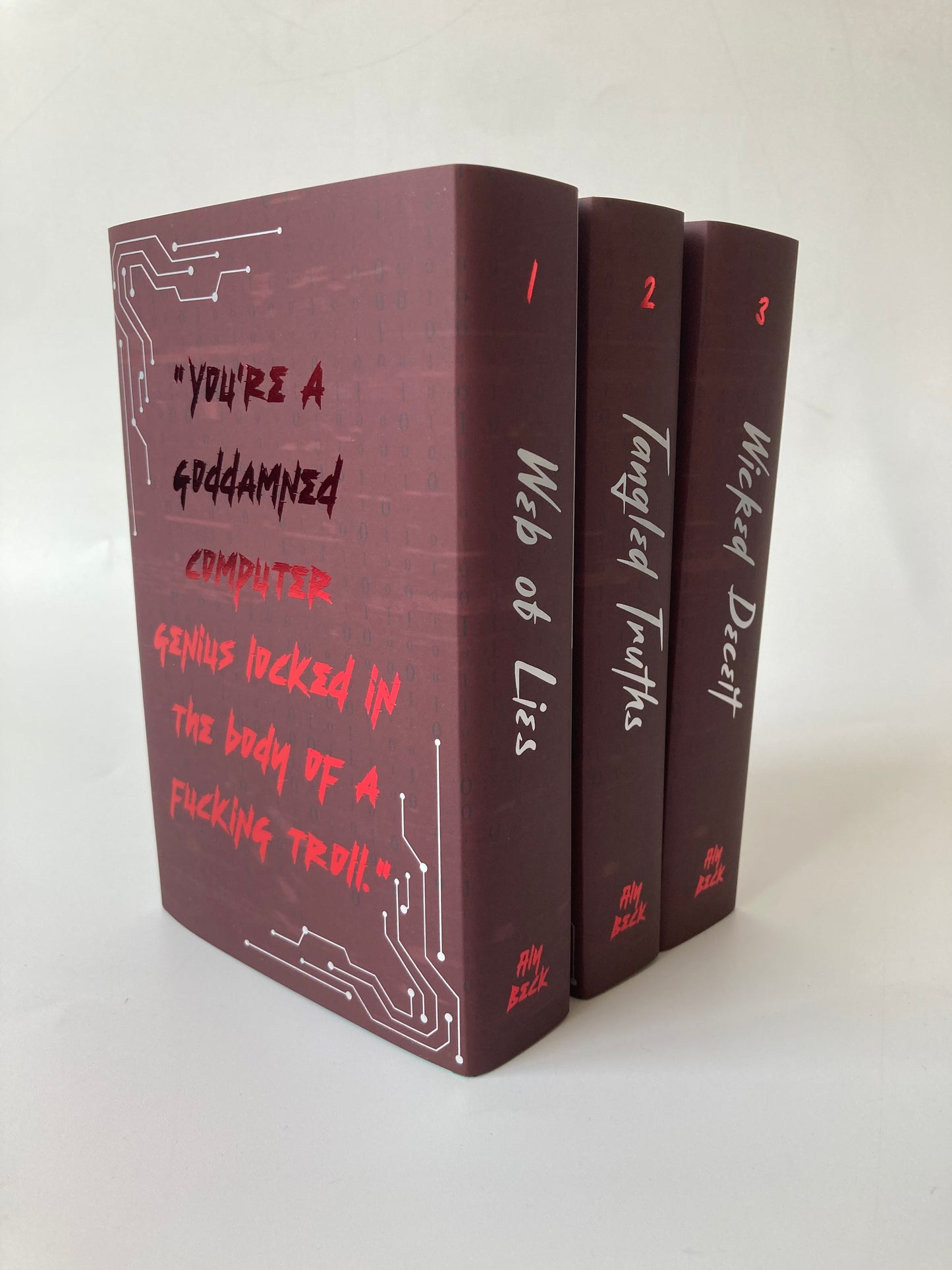 The Apocalypse Society by Aly Beck