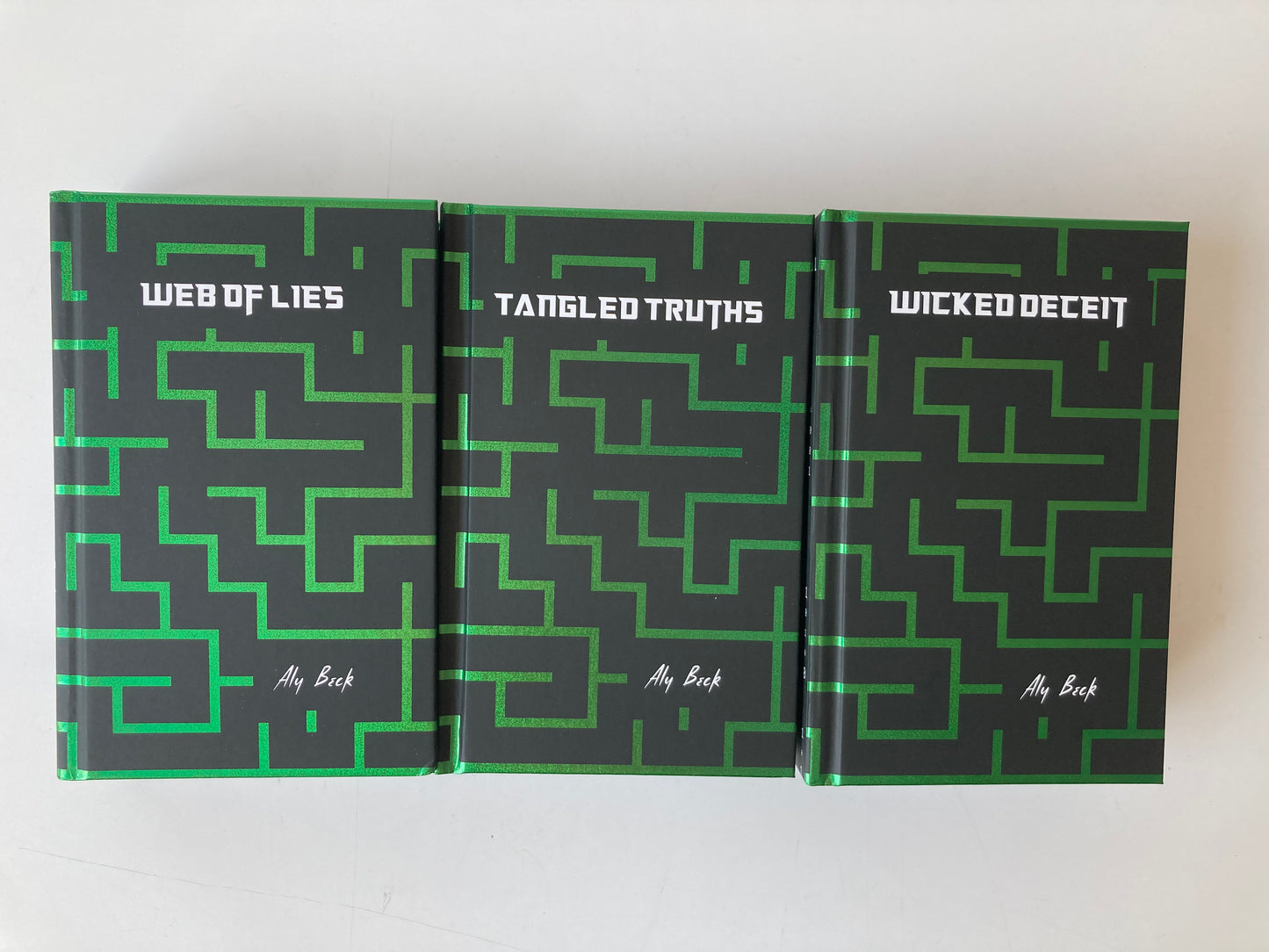 The Apocalypse Society by Aly Beck